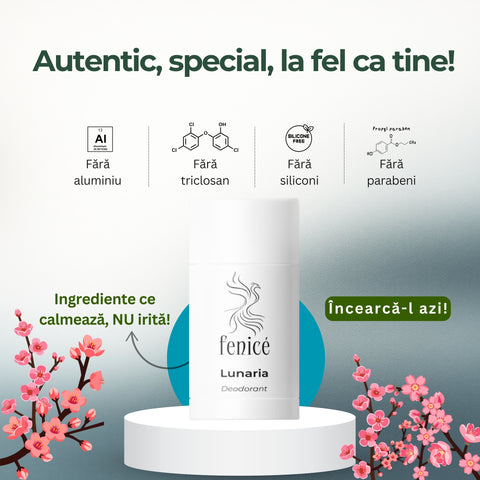 Povestea care a prins viață